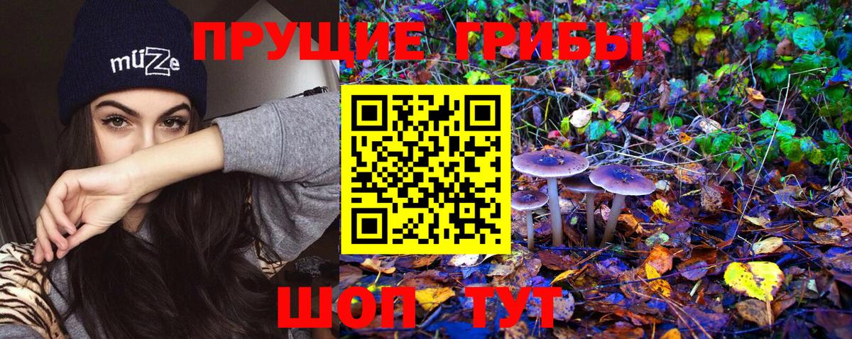 Галлюциногенные грибы прущие грибы  Вход с VPN  Псилоцибиновые грибы Magic Shrooms  Родники 