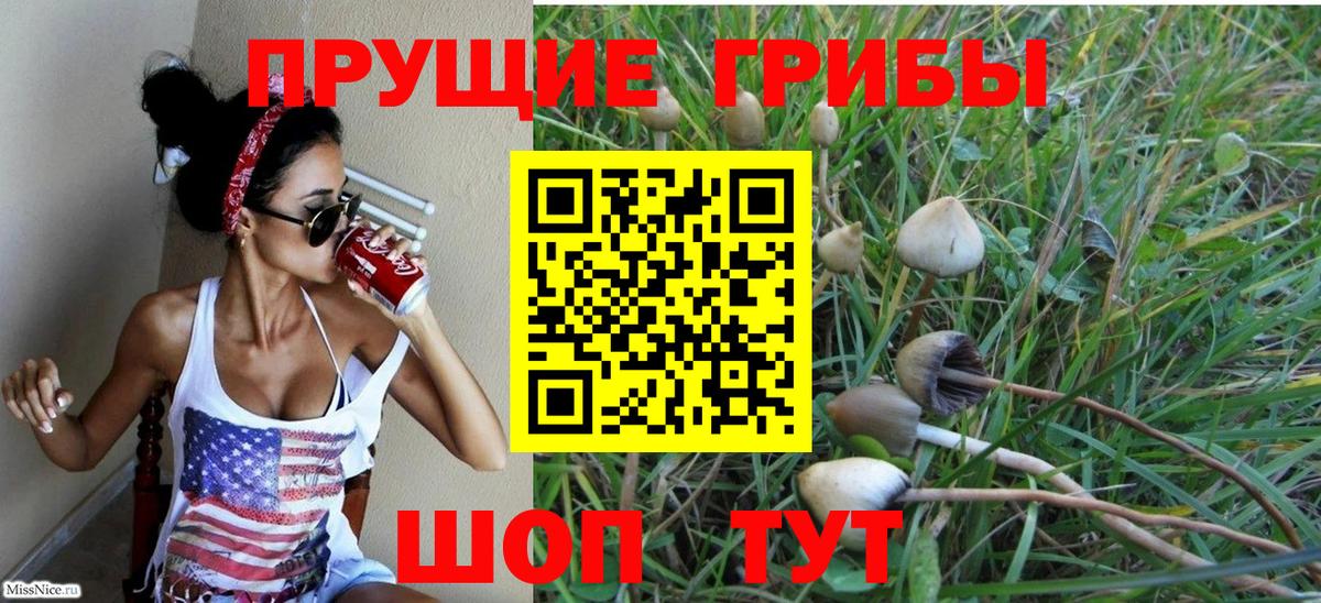 Галлюциногенные грибы Psilocybine cubensis Родники